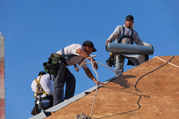 Best Roof Waterproofing Services  in Monona, IA
