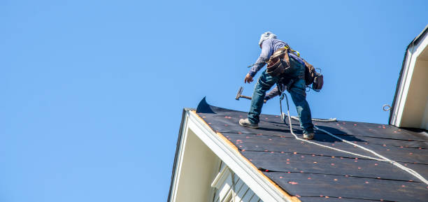 Best Storm Damage Roof Repair  in Monona, IA